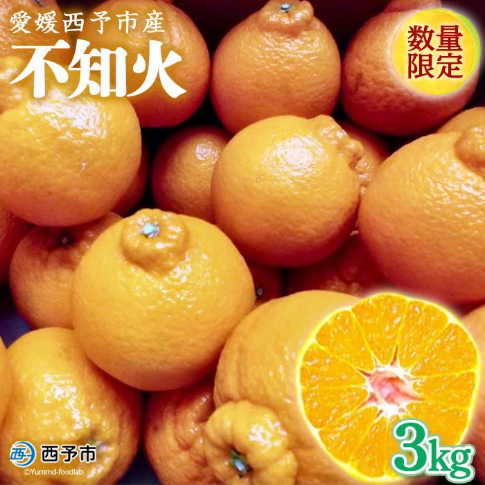 【ふるさと納税】数量限定＜愛媛西予市産 不知火 約3kg＞ しらぬい デコポン 果物 フルーツ ミカン オレンジ 特産品 渡江から一歩を踏み出す会 愛媛県 西予市 【常温】『2023年3月上旬から3月下旬に順次出荷予定』のサムネイル