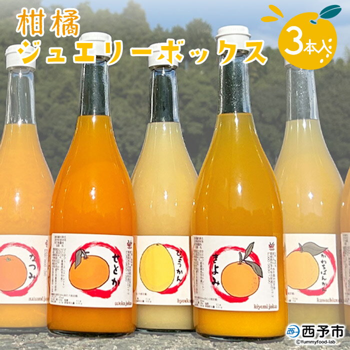 【ふるさと納税】＜西予市産柑橘ジュエリーボックス 720ml