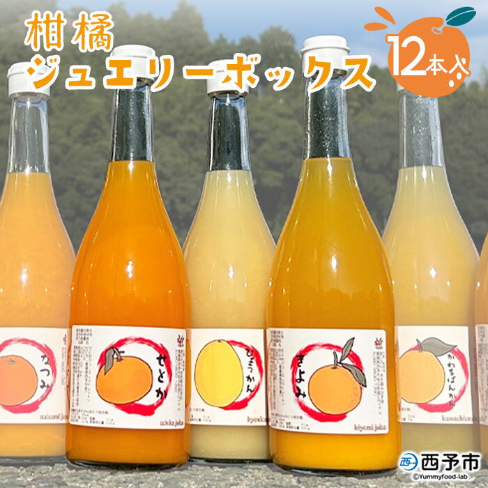 【ふるさと納税】＜西予市産柑橘ジュエリーボックス 720ml×12本入り（無添加果汁100％ジュース）＞ みかん 柑橘 果物 フルーツ ぽんかん しらぬい せとか 紅まどんな 特産品 渡江から一歩を踏み出す会 飲んで応援 愛媛県 西予市【常温】『2024年5月中旬より順次出荷予定』