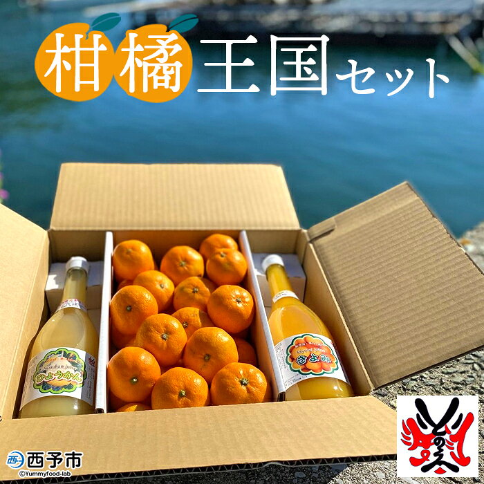 ＜「柑橘王国セット」みかん×みかんジュース＞ 果物 フルーツ ミカン オレンジジュース ポンカン 不知火 きよみ はるか せとか なつみ 特産品 渡江から一歩を踏み出す会 愛媛県 西予市 【常温】『2023年10月中旬～12月下旬迄に順次出荷予定』