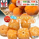 【ふるさと納税】<【訳あり】冷凍みきゃんセット みきゃん盛り(皮付き10個・皮無し3個/皮無し10個/皮付き15個)> ミカン 温州みかん 柑橘 果物 フルーツ...