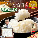 【ふるさと納税】<新米 令和7年産 西予市宇和町産 特別栽培米 コシヒカリ 約5kg> お米 コメ こめ 白米 精米 ご飯 穀物 こしひかり 西予米NO.1コンテスト 優秀賞 特産品 愛媛県産 西予市産 時谷ファーム 愛媛県 西予市 【常温】『9月下旬~10月下旬の間に順次出荷予定』
