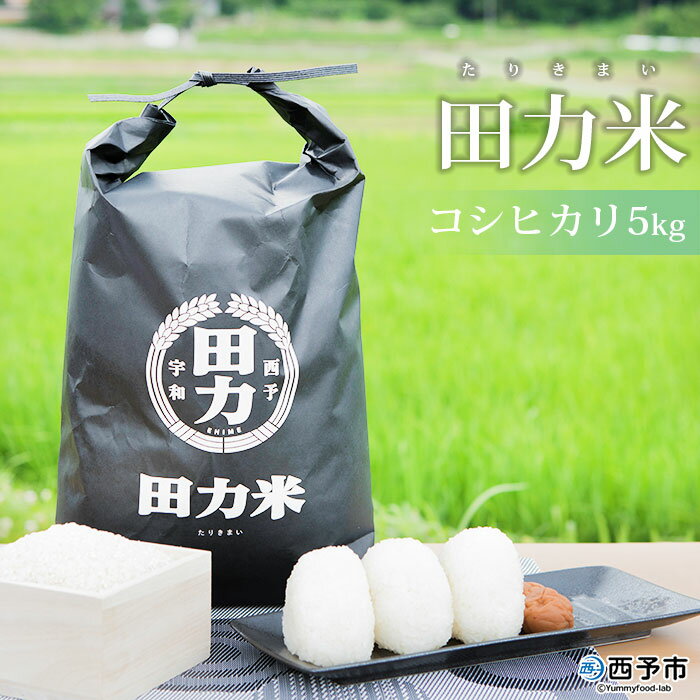 【ふるさと納税】新米 ＜令和5年産 田力米5kg コシヒカリ＞ お米 こしひかり コメ おこめ 特産品 愛媛県 田力本願 西予市 【常温】 1か月以内に順次出荷予定 