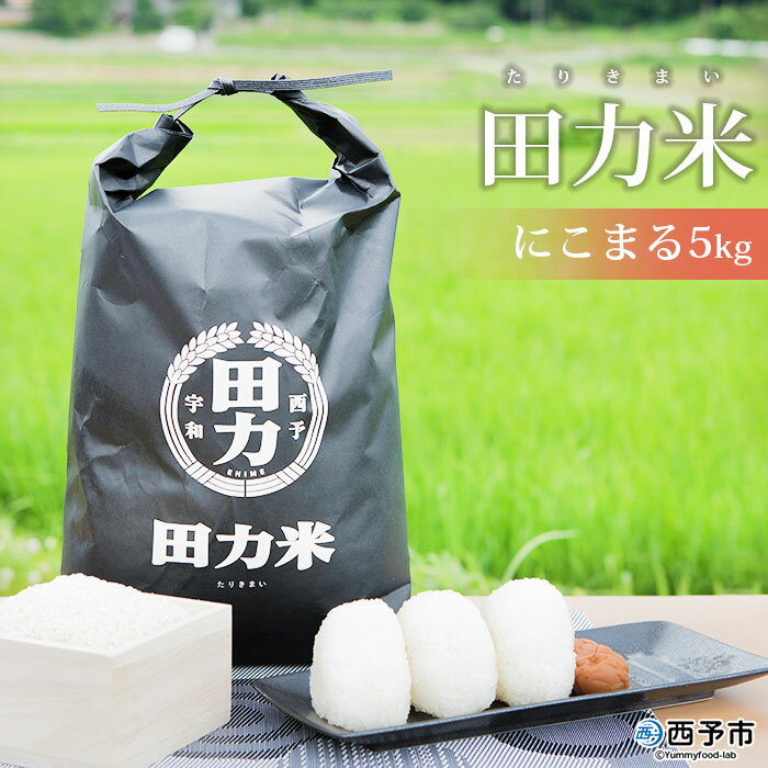 【ふるさと納税】新米 ＜令和5年産 田力米 5kg にこまる＞ お米 こめ コメ ご飯 ごはん 特産品 愛媛県 田力本願 西予市 【常温】『1か月以内に順次出荷予定』