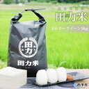 【ふるさと納税】新米 ＜令和5年産 田力米5kg ミルキークイーン＞ お米 おこめ コメ 特産品 田力本願 愛媛県 西予市 【常温】 1か月以内に順次出荷予定 