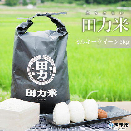 新米 ＜令和5年産 田力米5kg ミルキークイーン＞ お米 おこめ コメ 特産品 田力本願 愛媛県 西予市 【常温】『1か月以内に順次出荷予定』