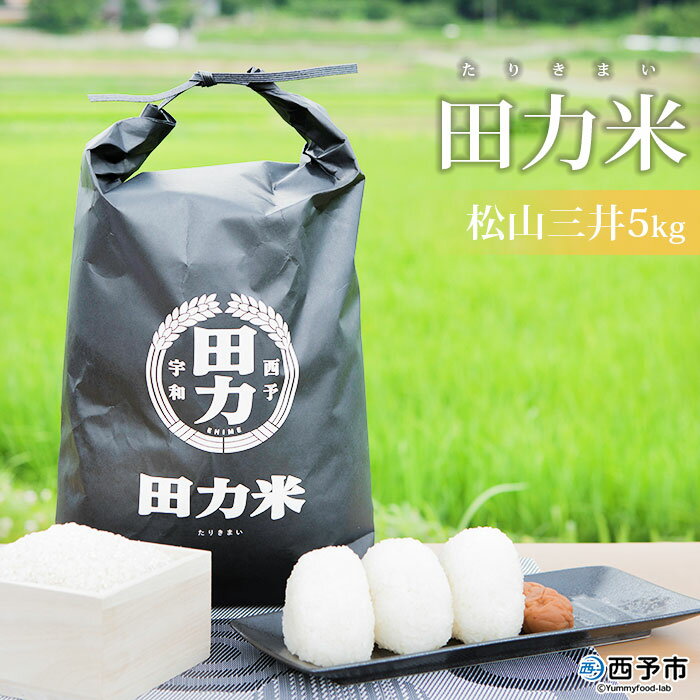 【ふるさと納税】新米 ＜令和5年産 田力米 5kg 松山三井＞ お米 こめ コメ ご飯 ごはん 特産品 田力本願 愛媛県 西予市 【常温】 1か月以内に順次出荷予定 