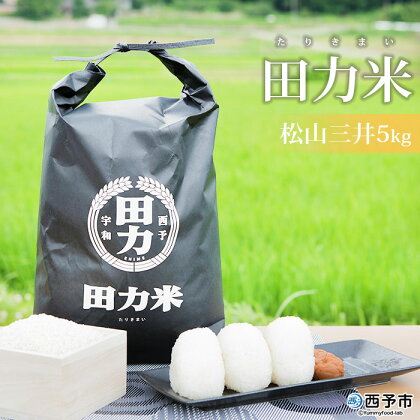 新米 ＜令和5年産 田力米 5kg 松山三井＞ お米 こめ コメ ご飯 ごはん 特産品 田力本願 愛媛県 西予市 【常温】『1か月以内に順次出荷予定』