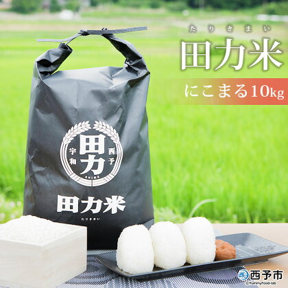 新米 ＜令和5年産 田力米 10kg にこまる＞ お米 こめ コメ ご飯 ごはん 特産品 愛媛県 田力本願 西予市 【常温】『1か月以内に順次出荷予定』