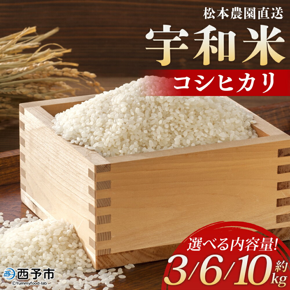【ふるさと納税】新米<令和7年産 松本農園直送 宇和米(コシヒカリ)約3kg/6kg/10kg> こしひかり 米 コメ こめ 白米 精米 うわまい ご飯 新鮮 ...