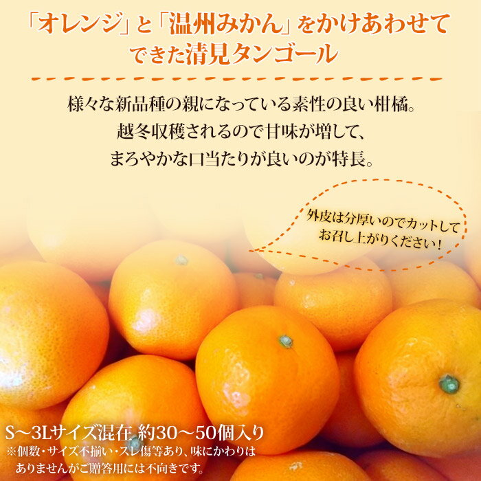 【ふるさと納税】先行予約＜愛媛県西予市産 清見タンゴール ご家庭用 約7kg＞約30～50個入 果物 フルーツ みかん オレンジ きよみ 柑橘類 食べて応援 旬 特産品 ご自宅用 愛媛県 西予市【常温】『2024年3月中旬～5月中旬迄に順次出荷予定』