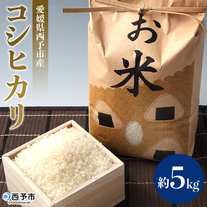 ＜愛媛県西予市産 お米 コシヒカリ 約5kg＞ コメ 白米 精米 ご飯 甘味 旨味 つや 粘り 特産品 愛媛県 西予市 【常温】『1か月以内に順次出荷』