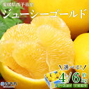 【ふるさと納税】先行予約<ジューシーゴールド(河内晩柑) ご家庭用 約4kg/6kg> 訳あり 果物 フルーツ かわちばんかん じゅーしーごーるど みかん 蜜柑...