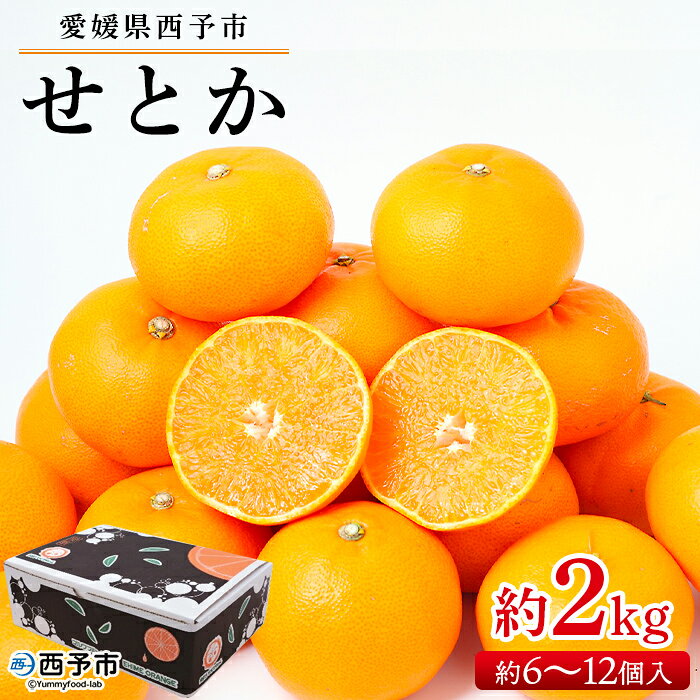 ＜せとか 約2kg（約6～12個入）＞ 果物 フルーツ くだもの みかん ミカン 蜜柑 セトカ オレンジ 柑橘類 甘い 食べて応援 贈答用 ギフト プレゼント 贈り物 季節限定 旬 特産品 愛媛県 西予市【常温】『2027年2月下旬～3月下旬迄に順次出荷予定』