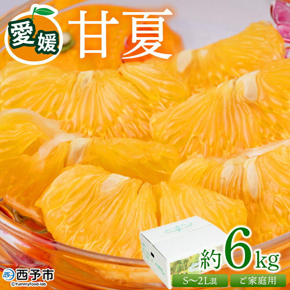 【ふるさと納税】＜愛媛県西予市産 甘夏 ご家庭用 約6kg＞ 訳あり S～2Lサイズ混合 果物 くだもの フルーツ みかん ミカン 蜜柑 あまなつ オレンジ 柑橘 不揃い 食べて応援 特産品 宇都宮物産 愛媛県 西予市【常温】『2026年3月中旬～5月中旬迄に順次出荷予定』