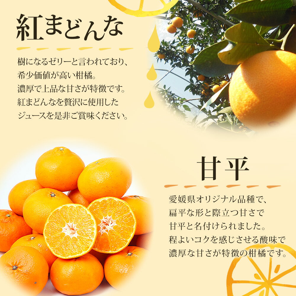 【ふるさと納税】＜紅まどんなと甘平ジュース 720ml×2本セット＞ 果汁100％ ストレートジュース みかん ミカン 果物 くだもの フルーツ 柑橘 紅マドンナ べにまどんな 甘平 特産品 マルワフルーツ園芸 宇都宮物産 愛媛県 西予市【常温】『1か月以内に順次出荷予定』 f382141-seiyo-10001237 愛媛県西予市 サンプル画像3