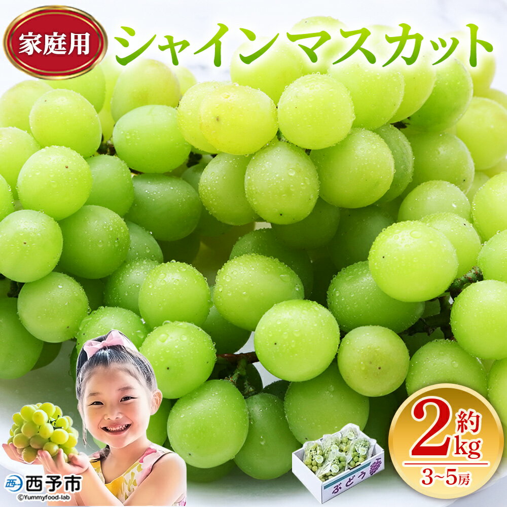 【ふるさと納税】＜シャインマスカット 家庭用 約2kg＞ 果物 くだもの フルーツ ぶどう 葡萄 ブ ...