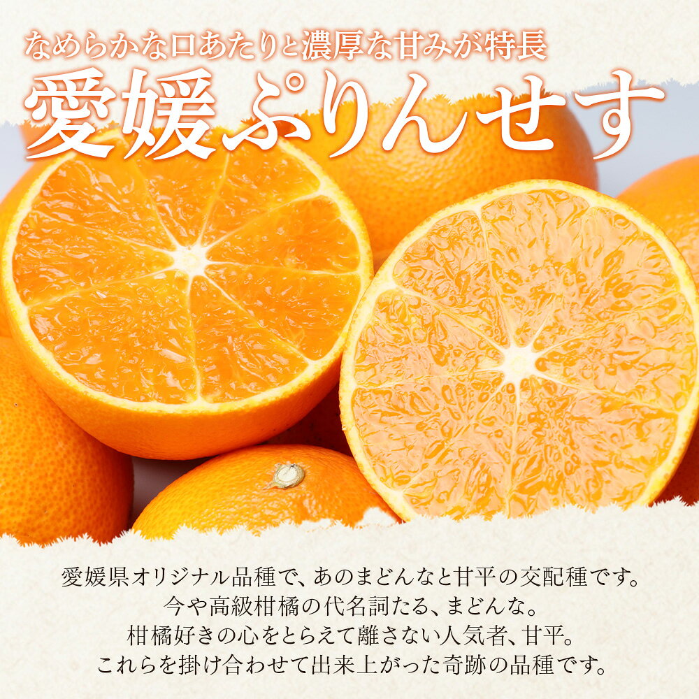 【ふるさと納税】＜愛媛県西予市産 愛媛ぷりんせす ご家庭用 合計約3kg＞選べるお届け内容 果物 フルーツ 柑橘類 みかん 蜜柑 ミカン オレンジ プリンセス 訳あり わけあり 甘い 交配種 特産品 宇都宮物産 愛媛県 西予市【常温】『2026年3月～4月上旬迄に順次出荷予定』