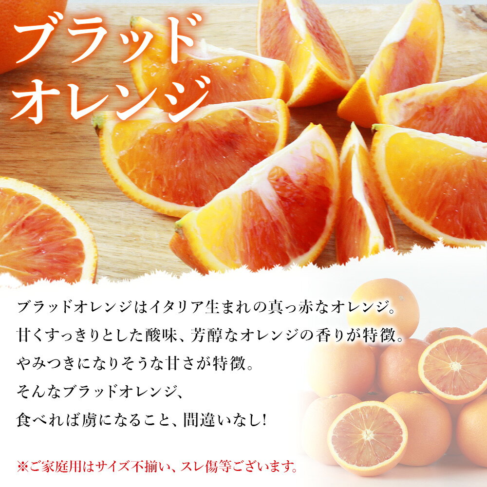 【ふるさと納税】＜愛媛県西予市産 ブラッドオレンジ 家庭用 豊作 サンキューパック 合計約4.9kg（3.9kg＋1kg）＞数量限定 期間限定 先行予約 大容量3.9kg 訳あり ご家庭用 甘酸っぱい 柑橘 果物 みかん ミカン 国産 宇都宮物産【常温】『2026年3月～4月下旬迄に順次出荷』