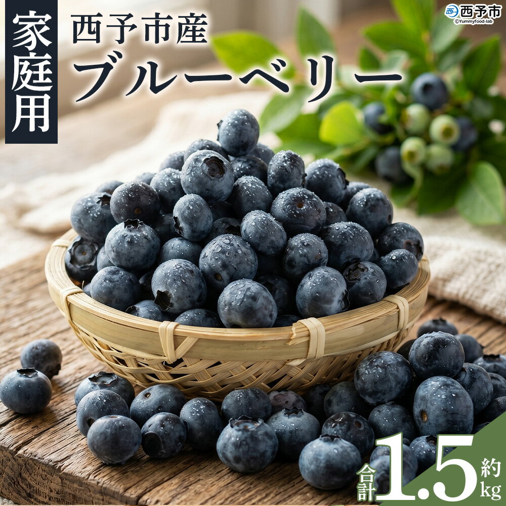 [愛媛県西予市産 ブルーベリー ご家庭用 合計約1.5kg]『7月下旬〜8月迄に順次出荷予定』訳あり 果物 フルーツ くだもの 生ブルーベリー 旬 フレッシュ 甘酸っぱい 実 ヨーグルト ご自宅 お取り寄せ 国産 デザート 宇都宮物産 愛媛県 西予市 [冷蔵]