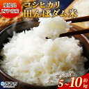【ふるさと納税】新米<令和7年産 愛媛県西予市産 コシヒカリ 田んぼダム米 5kg/10kg> 選べる 5キロ 10キロ こしひかり 西予応援米 宇和米 お米 コメ こめ 白米 精米 米 国産 愛媛県産 宇和町産 和みファーム 愛媛県 西予市【常温】『2025年10月・11月頃から順次発送予定』