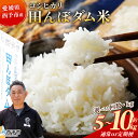 【ふるさと納税】新米<令和7年産 愛媛県西予市産 コシヒカリ 田んぼダム米 5kg/10kg> 選べる 配送回数 通常 定期便 こしひかり 西予応援米 宇和米 ...