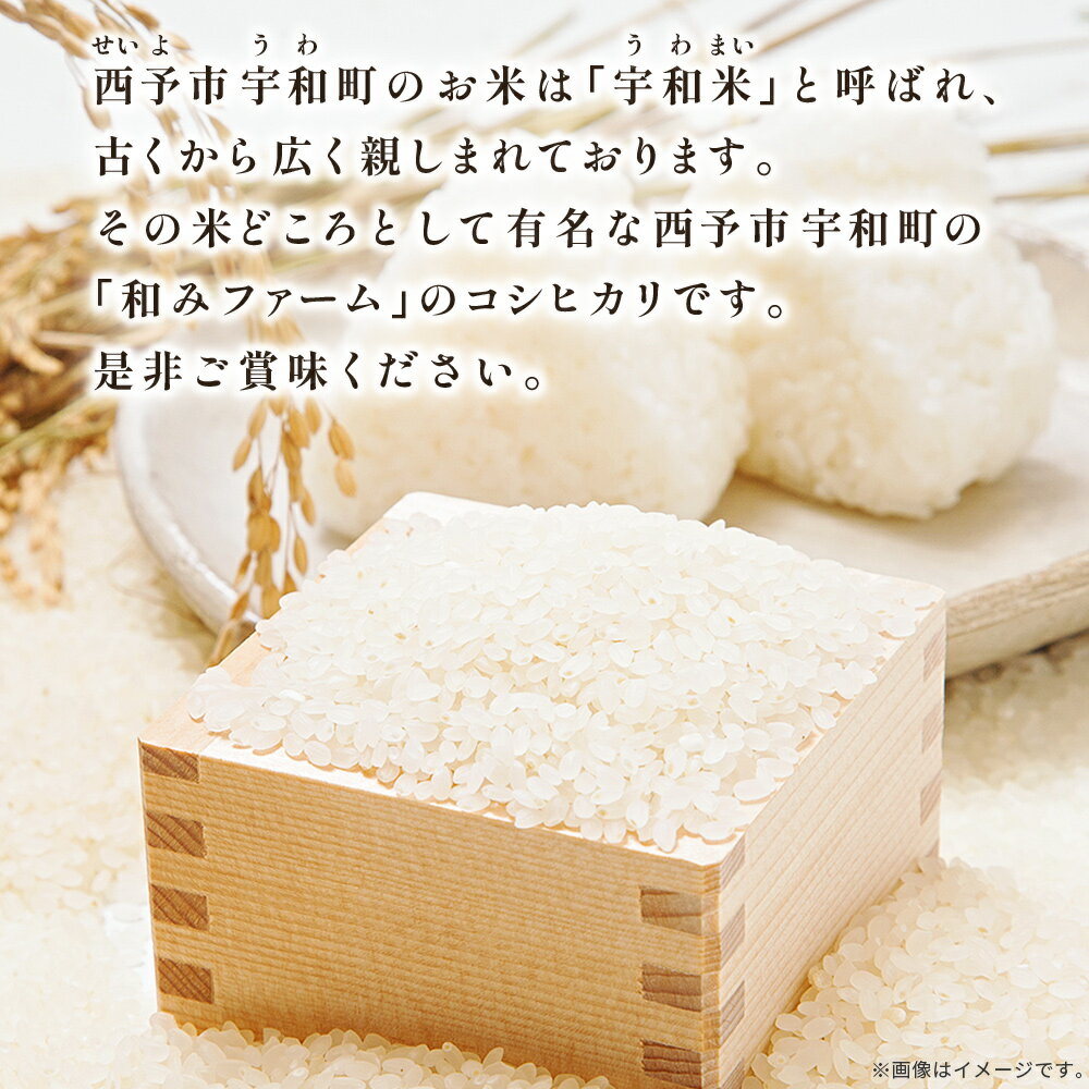 【ふるさと納税】新米＜令和7年産 愛媛県西予市産 コシヒカリ 田んぼダム米 5kg/10kg＞ 選べる 配送回数 通常 定期便 こしひかり 西予応援米 宇和米 お米 コメ こめ 白米 精米 米 国産 愛媛県産 和みファーム 愛媛県 西予市【常温】『2025年10月・11月頃から順次発送予定』