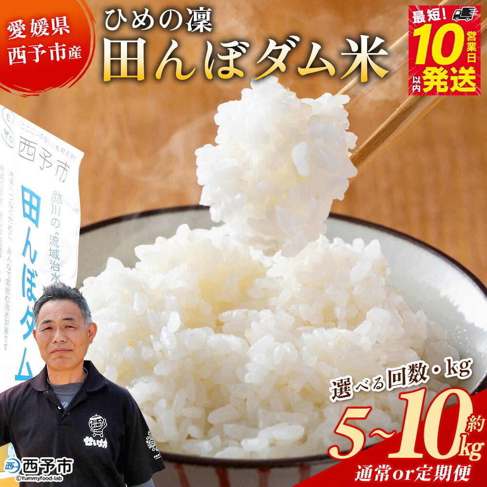 ＜令和8年産 愛媛県西予市産 ひめの凜 田んぼダム米 約5kg/10kg＞※最短10営業日以内に順次発送予定 選べる 配送回数 通常 定期便 ひめのりん 西予応援米 宇和米 お米 コメ こめ 白米 精米 米 国産 愛媛県産 和みファーム 愛媛県 西予市【常温】