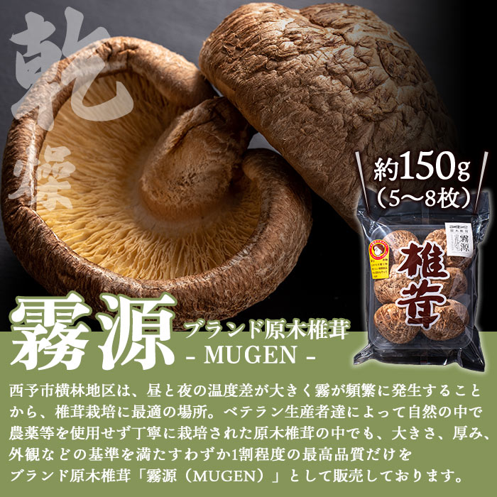 【ふるさと納税】＜原木椎茸「霧源 MUGEN」乾燥 約150g（5～8枚）&椎茸パウダー「UMAMI＋（うまみぷらす）」1袋セット＞干ししいたけ シイタケ 肉厚 国産 きのこ 粉末 お手軽 出汁 ダシ うま味 旨味 旨み 横林自治振興協議会 愛媛県 西予市【常温】『1か月以内に順次出荷』