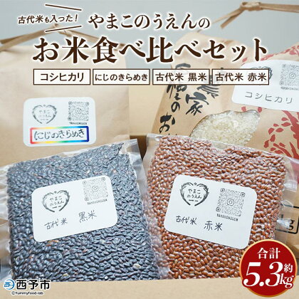 ＜古代米も入った！やまこのうえんのお米食べ比べセット＞ お米 コメ ご飯 ライス 穀物 こしひかり コシヒカリ にじのきらめき 古代米 黒米 赤米 4種 食べ比べ 計5.3kg 特産品 やまこのうえん 愛媛県 西予市 【常温】『1か月以内に順次出荷予定』