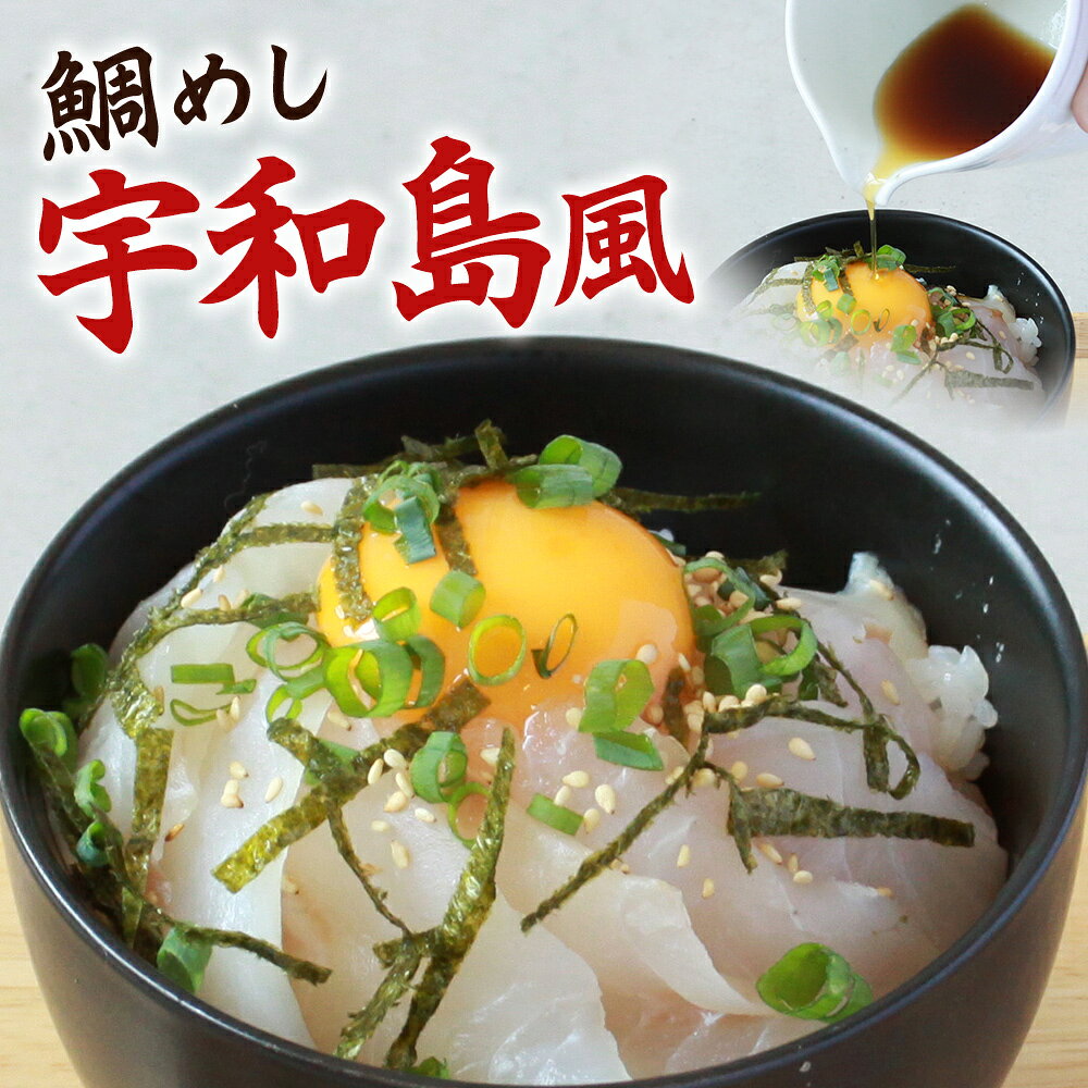 【ふるさと納税】＜愛媛の鯛めしセット（宇和島風・松山風）＞選べるセット内容 個数 鯛 真鯛 まだい マダイ 天然真鯛 2種 郷土料理 丼 魚介 海の幸 海鮮 炊き込みご飯 食べ比べ お試し 詰め合わせ 詰合せ YNコーポレーション 愛媛県 西予市【冷凍】『1か月以内に順次出荷』 f382141-seiyo-10001173 愛媛県西予市 サンプル画像3