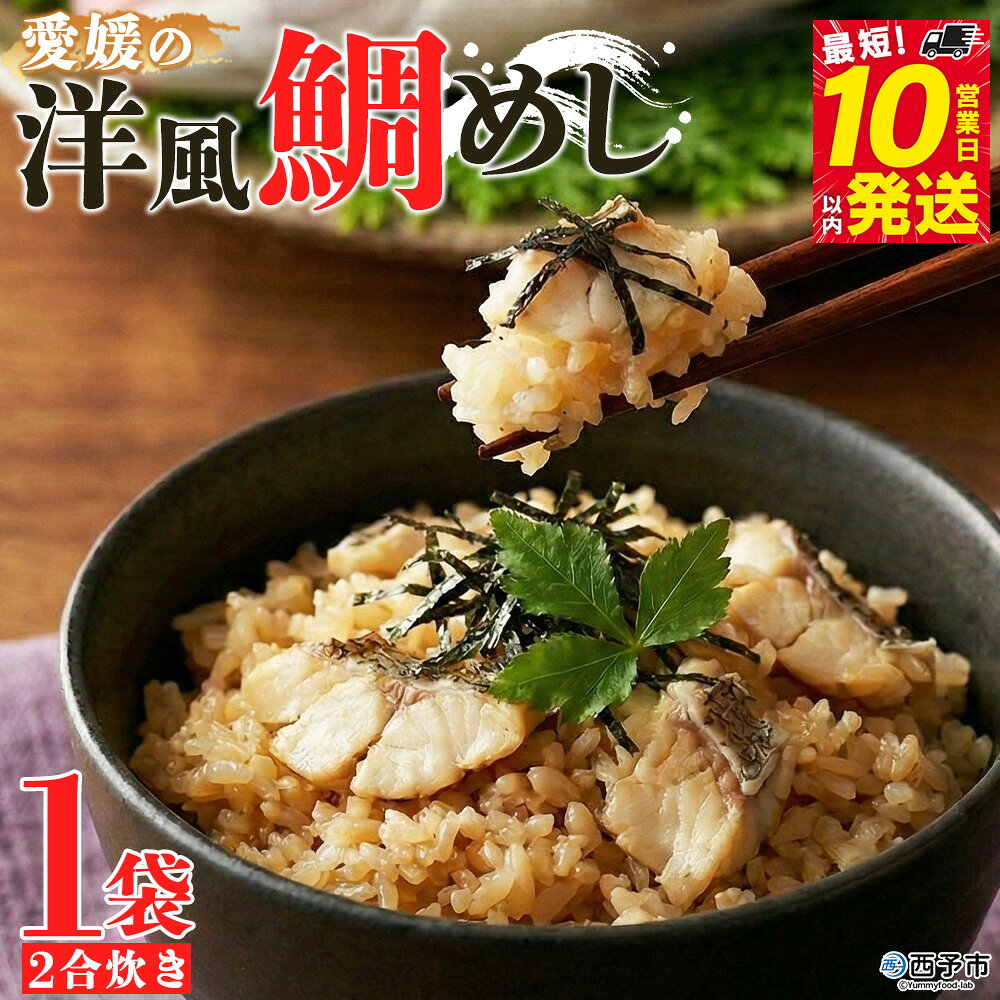 【ふるさと納税】＜愛媛の洋風鯛めしセット＞『最短10営業日以内に順次発送予定』鯛 真鯛 まだい マダイ 天然真鯛 郷土料理 丼 魚介 海の幸 海鮮 炊き込みご飯 洋風 バター 出汁たれ 切り身 切身 国産 2合炊き お取り寄せ グルメ YNコーポレーション 愛媛県 西予市【冷凍】