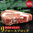 【ふるさと納税】＜熟成肉 はなが牛リブロースブロック 800g＞ 牛肉 ステーキ 鉄板焼き 焼き肉 国産 塊肉 かたまり 霜降り しもふり バーベキュー BBQ キャンプ アウトドア 特産品 ゆうぼく 愛…