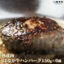 【ふるさと納税】＜熟成肉 はなが牛ハンバーグ150g×6個 計900g＞ ※2021年2月のお届けです。 牛肉 肉加工品 ゆうぼく 特産品 愛媛県 西予市 【冷凍】