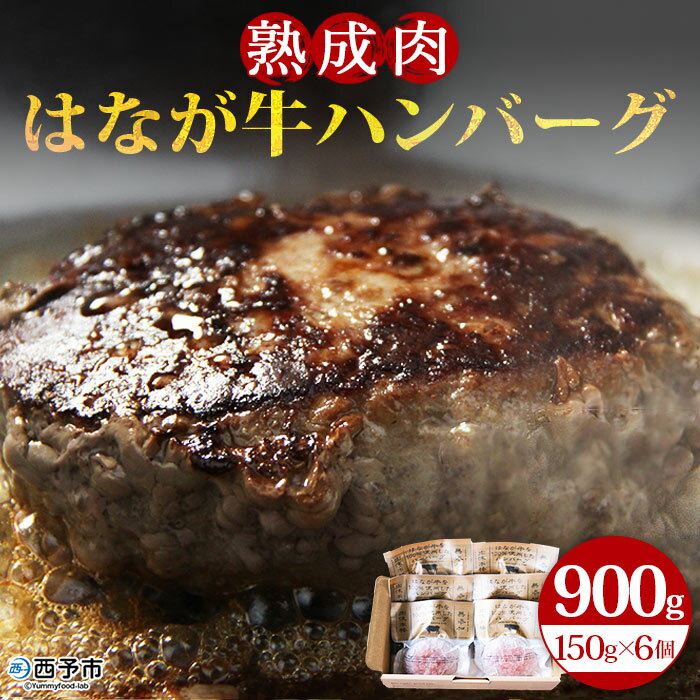 13位! 口コミ数「3件」評価「5」＜熟成肉 はなが牛ハンバーグ 150g×6個 計900g＞ お肉 牛肉 ビーフ 牛100％ 肉加工品 無添加 お惣菜 洋食 おかず おつまみ･･･ 