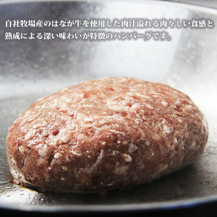 【ふるさと納税】＜熟成肉 はなが牛ハンバーグ 150g×6個 計900g＞ ※1か月以内に順次出荷 牛肉 ビーフ 肉加工品 お惣菜 洋食 おかず おつまみ お弁当 国産 小分け 特産品 ゆうぼく 愛媛県 西予市 【冷凍】