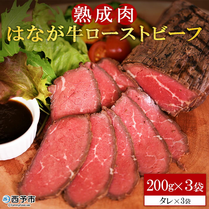 9位! 口コミ数「1件」評価「5」＜熟成肉 はなが牛ローストビーフ 200g×3個＞ 牛肉 国産 タレ付き 赤身 パーティー ディナー おつまみ おかず 加工品 特産品 小分･･･ 