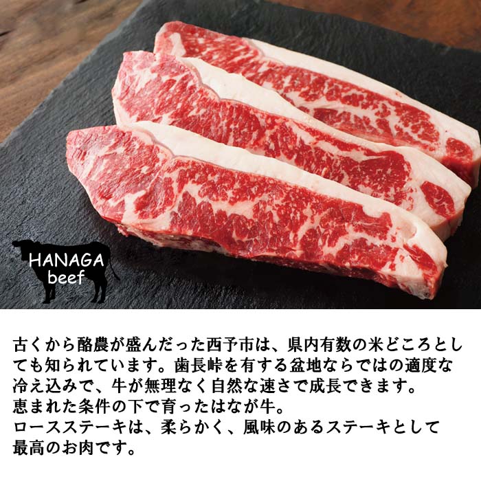 【ふるさと納税】＜熟成肉 はなが牛 ロースステーキ 200g×3枚 計600g＞ 牛肉 サーロイン 鉄板焼き 焼き肉 バーベキュー BBQ 国産 小分け 特産品 愛媛県 ゆうぼく 西予市【冷凍】『1か月以内に順次発送』