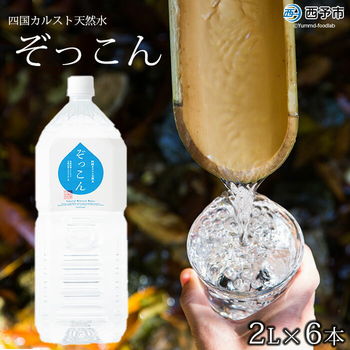 ＜四国カルスト天然水ぞっこん 2L×6本 計12L＞飲料 水 みず 中硬水 弱アルカリイオン水 ペットボトル ウォーター バナジウム 備蓄 防災 キャンプ アウトドア 国産 特産品 ぞっこん四国 愛媛県 西予市【常温】『1か月以内に順次出荷予定』