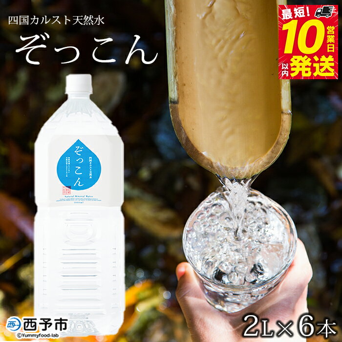 [四国カルスト天然水ぞっこん 2L×6本 計12L]飲料 水 みず 中硬水 弱アルカリイオン水 ペットボトル ウォーター バナジウム 備蓄 防災 非常用 キャンプ アウトドア 国産 特産品 ぞっこん四国 愛媛県 西予市[常温]『最短10営業日以内に順次発送予定』