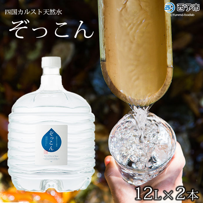 [四国カルスト天然水ぞっこん 12L×2本 計24L]飲料 水 みず 中硬水 弱アルカリイオン水 ガロンボトル ウォーター バナジウム 備蓄 防災 キャンプ アウトドア 国産 特産品 ぞっこん四国 愛媛県 西予市[常温]『1か月以内に順次出荷予定』