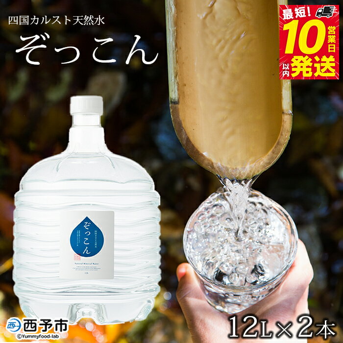 [四国カルスト天然水ぞっこん 12L×2本 計24L]飲料 水 みず 中硬水 弱アルカリイオン水 ガロンボトル ウォーター バナジウム 備蓄 防災 キャンプ アウトドア 国産 特産品 ぞっこん四国 愛媛県 西予市[常温]『最短10営業日以内に順次発送予定』