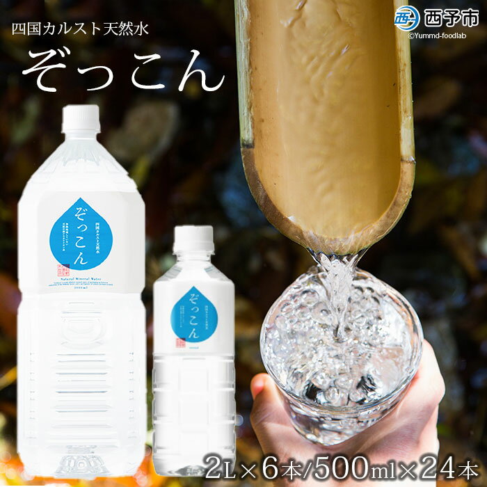 ＜四国カルスト天然水ぞっこん 2L×6本+500ml×24本＞飲料 水 みず 中硬水 弱アルカリイオン水 ペットボトル ウォーター バナジウム 備蓄 防災 キャンプ アウトドア 国産 特産品 ぞっこん四国 愛媛県 西予市【常温】『1か月以内に順次出荷予定』