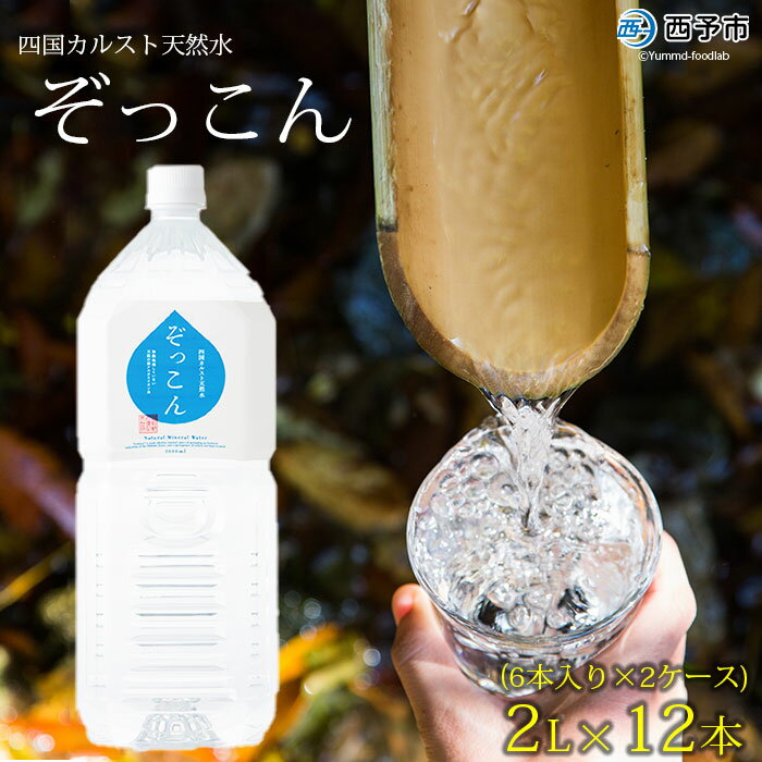 【ふるさと納税】＜四国カルスト天然水ぞっこん 2L(6本入り