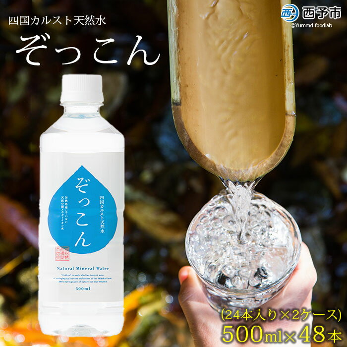 ＜四国カルスト天然水ぞっこん 500ml(24本入り)×2ケース 計48本＞ 飲料水 みず 中硬水 弱アルカリイオン水 ペットボトル ウォーター バナジウム 備蓄 防災 キャンプ アウトドア 国産 特産品 ぞっこん四国 愛媛県 西予市【常温】『1か月以内に順次出荷予定』