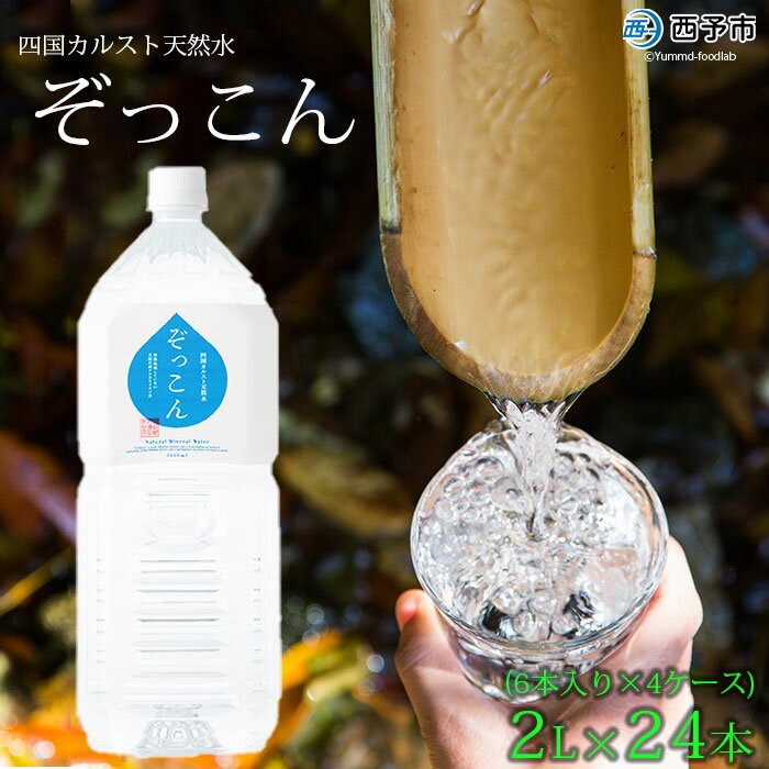 【ふるさと納税】＜四国カルスト天然水ぞっこん 2L(6本入り)×4ケース 計24本＞ 飲料 水 みず 中硬水 弱アルカリイオン水 ペットボトル ウォーター バナジウム 備蓄 防災 キャンプ アウトドア 国産 特産品 ぞっこん四国 愛媛県 西予市【常温】『1か月以内に順次出荷予定』