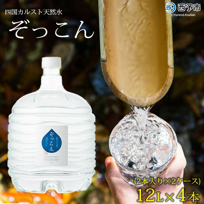 【ふるさと納税】＜四国カルスト天然水ぞっこん (12L×2本)×2ケース 計4本＞ 飲料 水 みず 中硬水 弱ア...