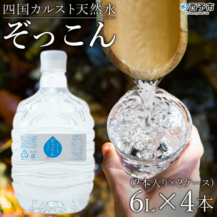 ＜四国カルスト天然水ぞっこん (6L×2本)×2ケース 計4本＞ 飲料 水 みず 中硬水 弱アルカリイオン水 ガロンボトル ウォーター バナジウム 備蓄 防災 キャンプ アウトドア 国産 特産品 ぞっこん四国 愛媛県 西予市『1か月以内に順次出荷予定』