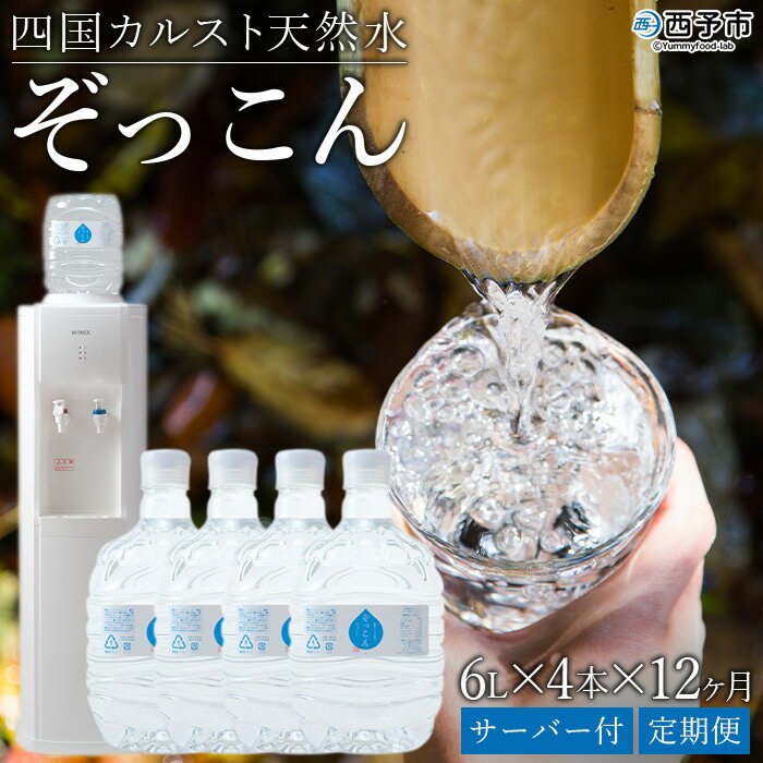 ＜四国カルスト天然水ぞっこん 6L×4本×12ヶ月定期便 サーバー付＞ 飲料水 中硬水 弱アルカリイオン水 ガロンボトル ウォーター バナジウム 備蓄 防災 キャンプ アウトドア 国産 特産品 ぞっこん四国 愛媛県 西予市 【常温】『1か月以内に第1回目を出荷』