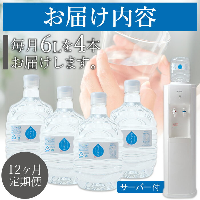 【ふるさと納税】＜四国カルスト天然水ぞっこん 6L×4本×12ヶ月定期便 サーバー付＞ 飲料水 中硬水 弱アルカリイオン水 ガロンボトル ウォーター バナジウム 備蓄 防災 キャンプ アウトドア 国産 特産品 ぞっこん四国 愛媛県 西予市 【常温】『1か月以内に第1回目を出荷』